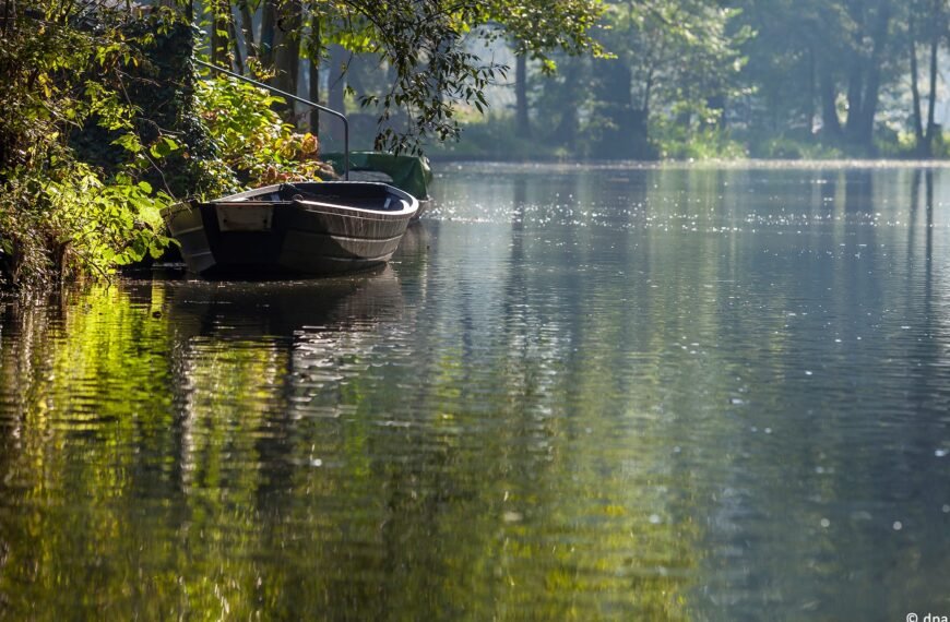 Exploring Teltow: A Day in the Enchanting Woods of Brandenburg