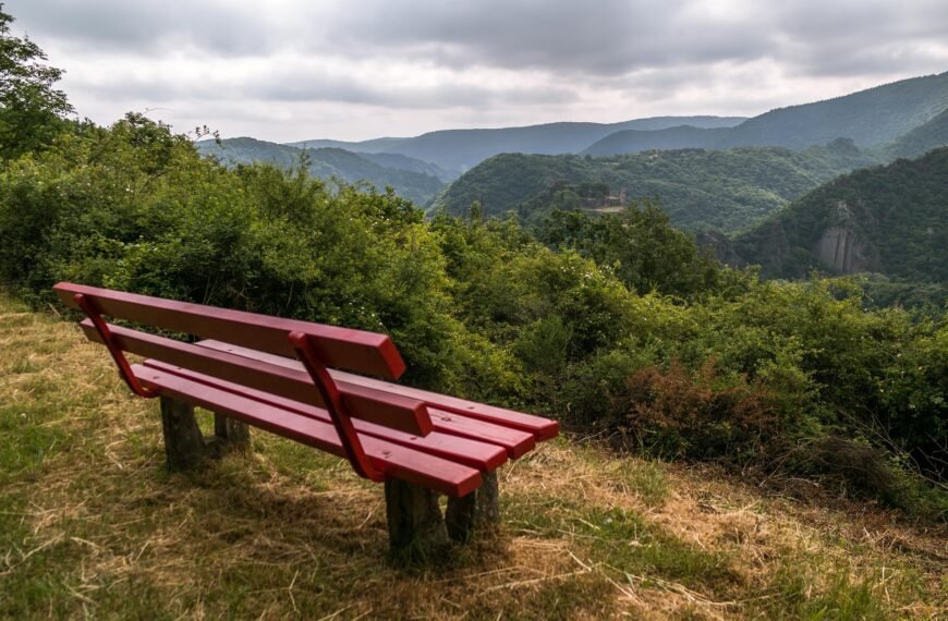 Unveiling Neustadt: Exploring the Charms of the Palatinate Forest