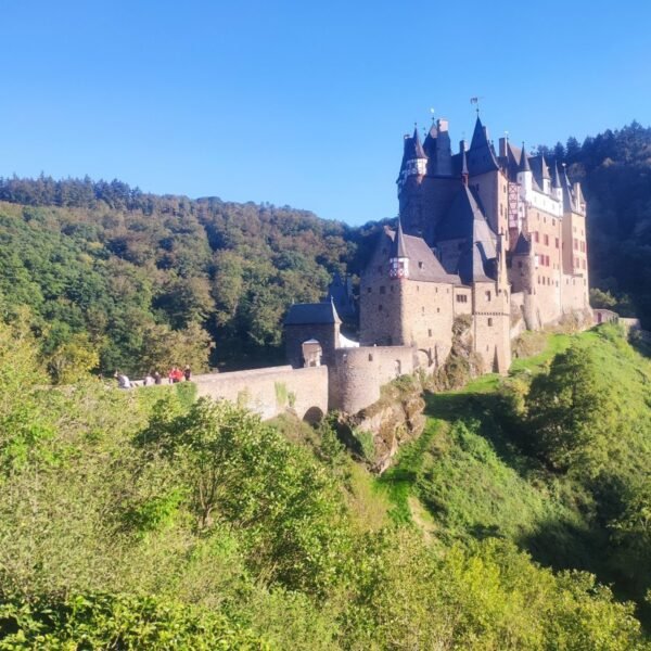 Unveiling the Treasures of Mainz: Exploring History, Culture, and Natural Beauty in Rhineland-Palatinate